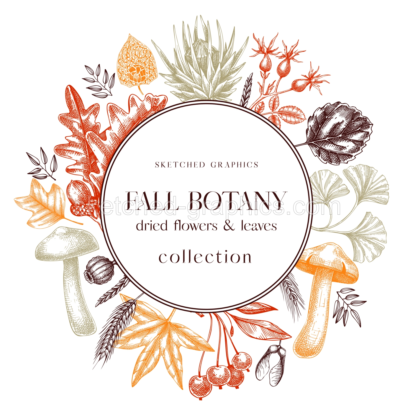 Autumn wreath with fall leaves and dried flowers. Thanksgiving banner design. Fall backdrop in sketched style. Dried herbs, falling leaves, mushrooms, seeds frame. Autumn card or invitation Illustration